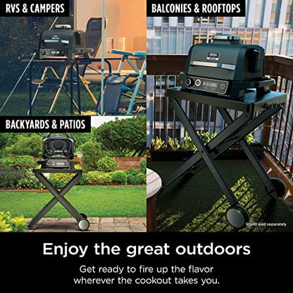 Ninja Woodfire Pro 7-in-1 Grill & Smoker with Thermometer