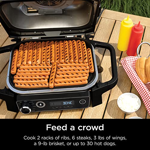 Ninja Woodfire Pro 7-in-1 Grill & Smoker with Thermometer