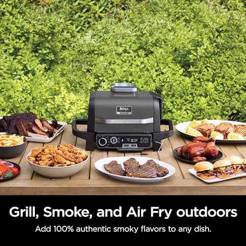 Ninja Woodfire Pro 7-in-1 Grill & Smoker with Thermometer